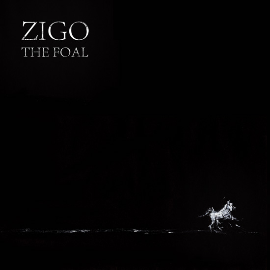 ZIGO - The Foal